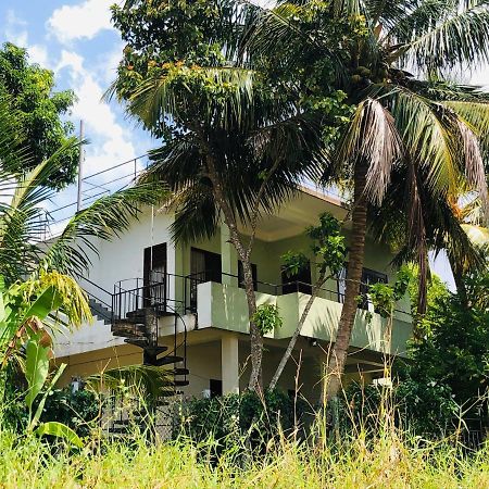 Rice Field View Home Stay Tangalle Buitenkant foto