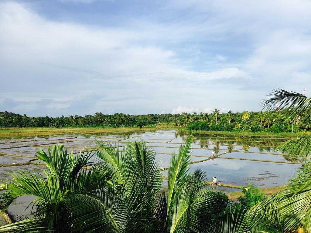 Rice Field View Home Stay Tangalle Kamer foto