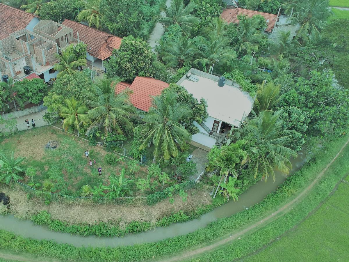Rice Field View Home Stay Tangalle Buitenkant foto