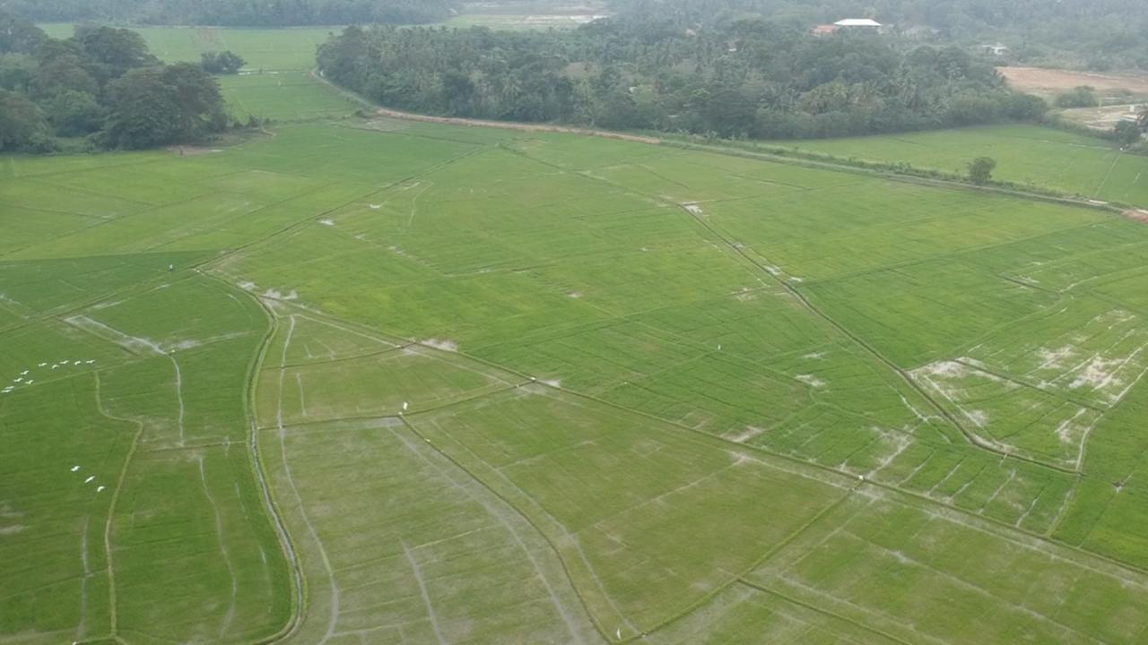 Rice Field View Home Stay Tangalle Buitenkant foto