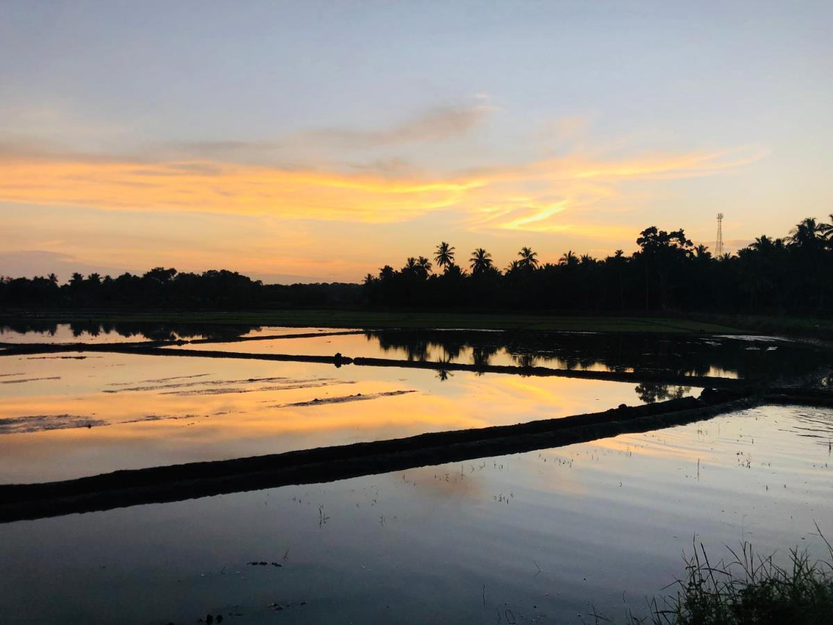 Rice Field View Home Stay Tangalle Buitenkant foto